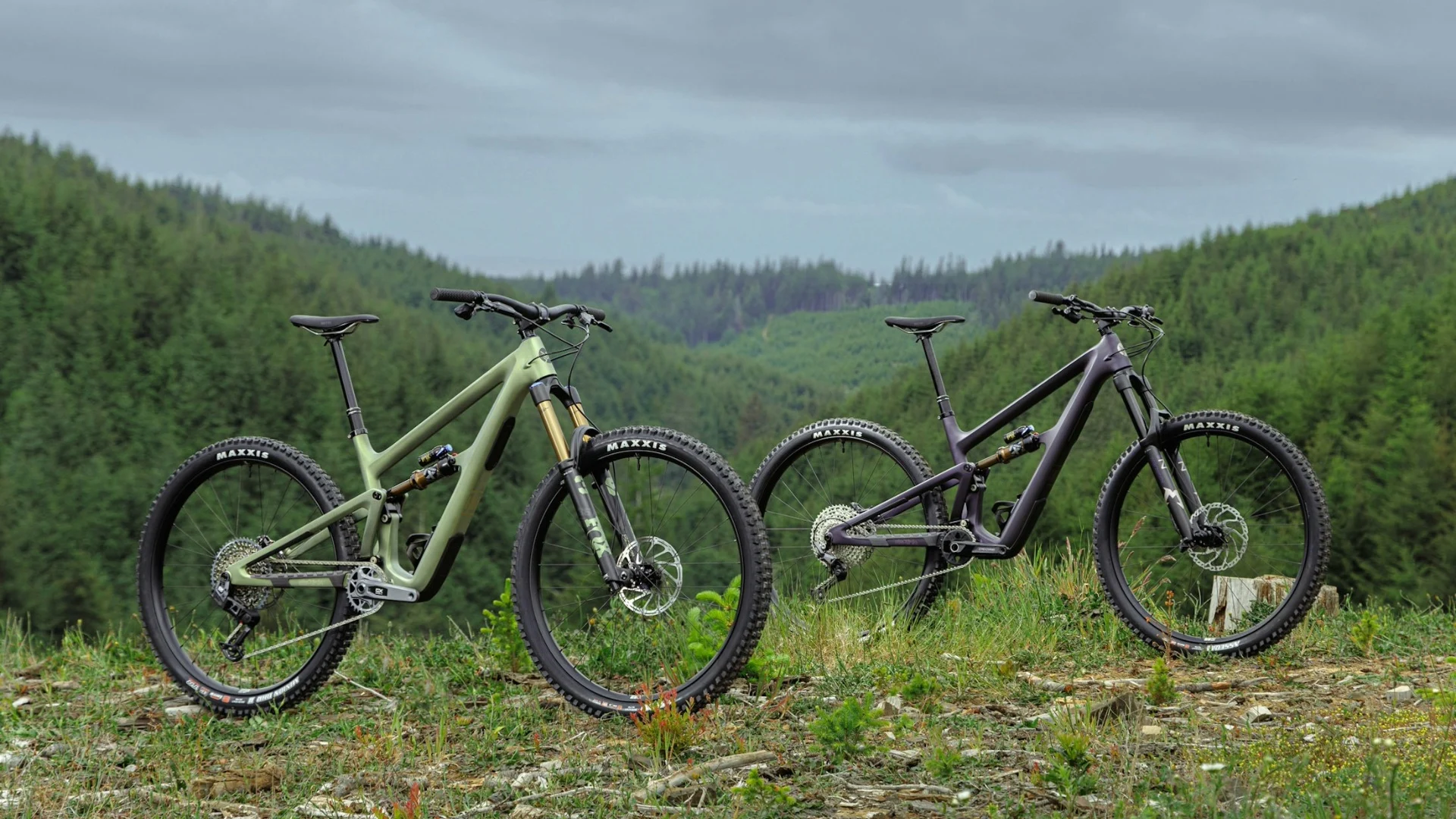 Ibis Ripmo V3