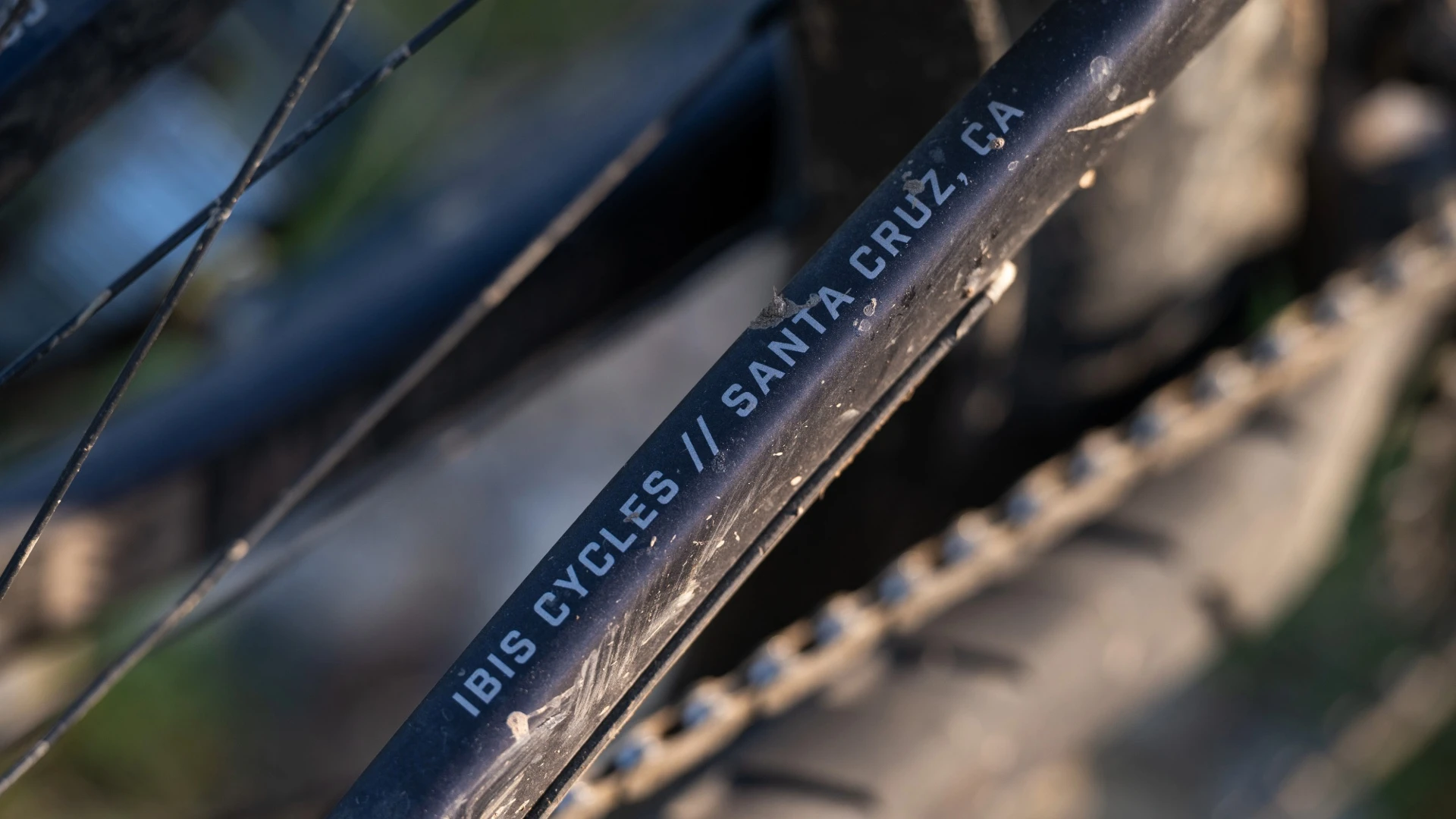 Testfahrer-Gruppe mit Ibis Ripmo V3 Bikes in Bernex